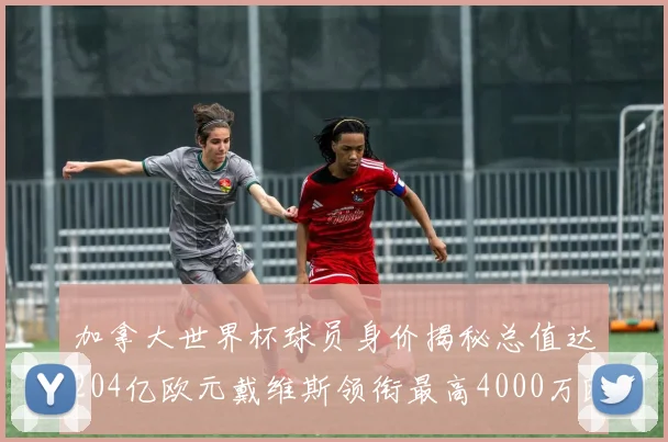 加拿大世界杯球员身价揭秘总值达204亿欧元戴维斯领衔最高4000万欧
