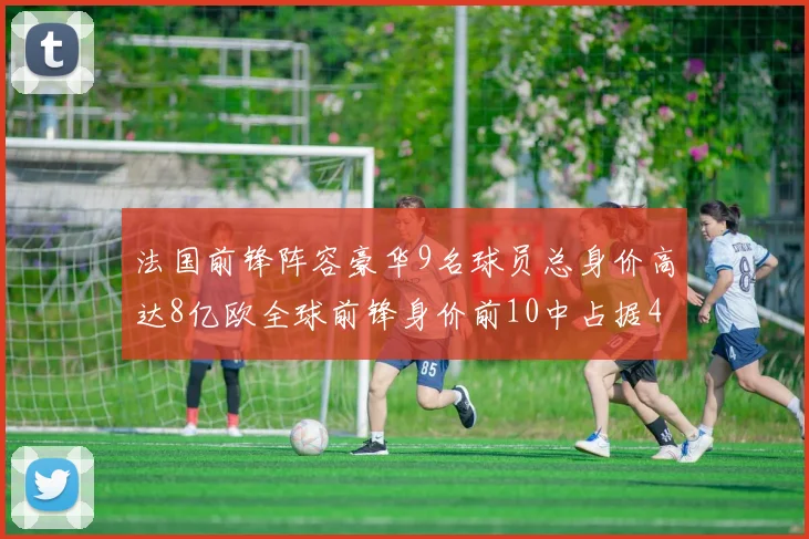 法国前锋阵容豪华9名球员总身价高达8亿欧全球前锋身价前10中占据4席