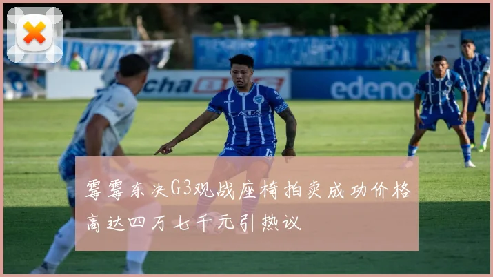 霉霉东决G3观战座椅拍卖成功价格高达四万七千元引热议
